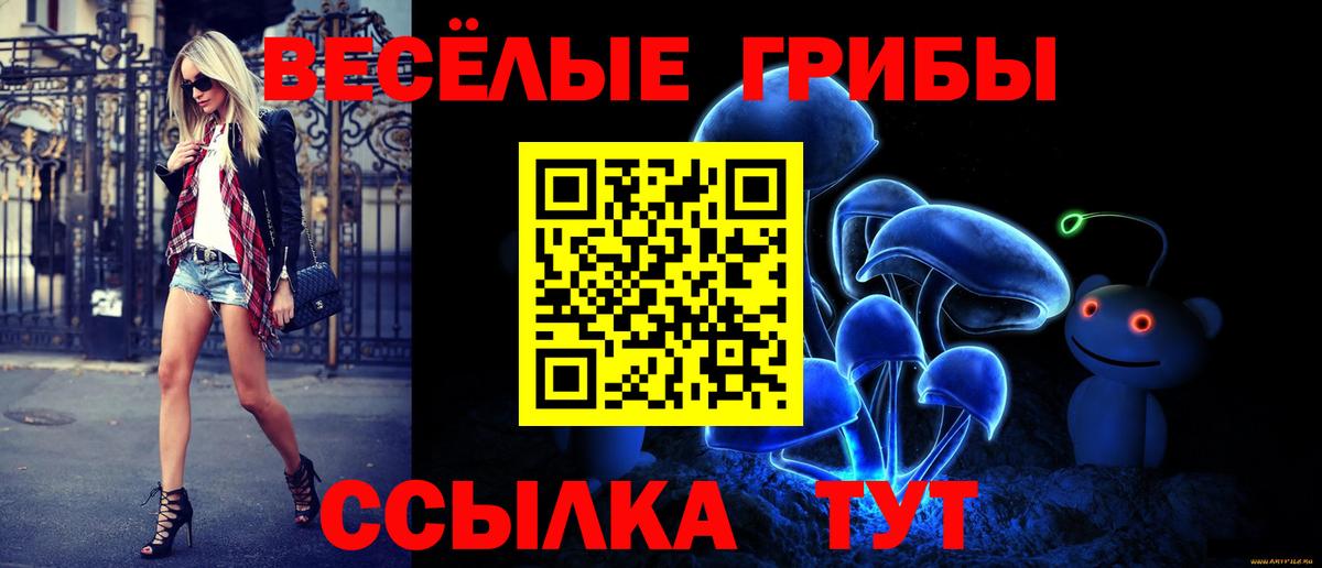 Галлюциногенные грибы Cubensis  Вход с VPN  Нефтеюганск  Галлюциногенные грибы мицелий 